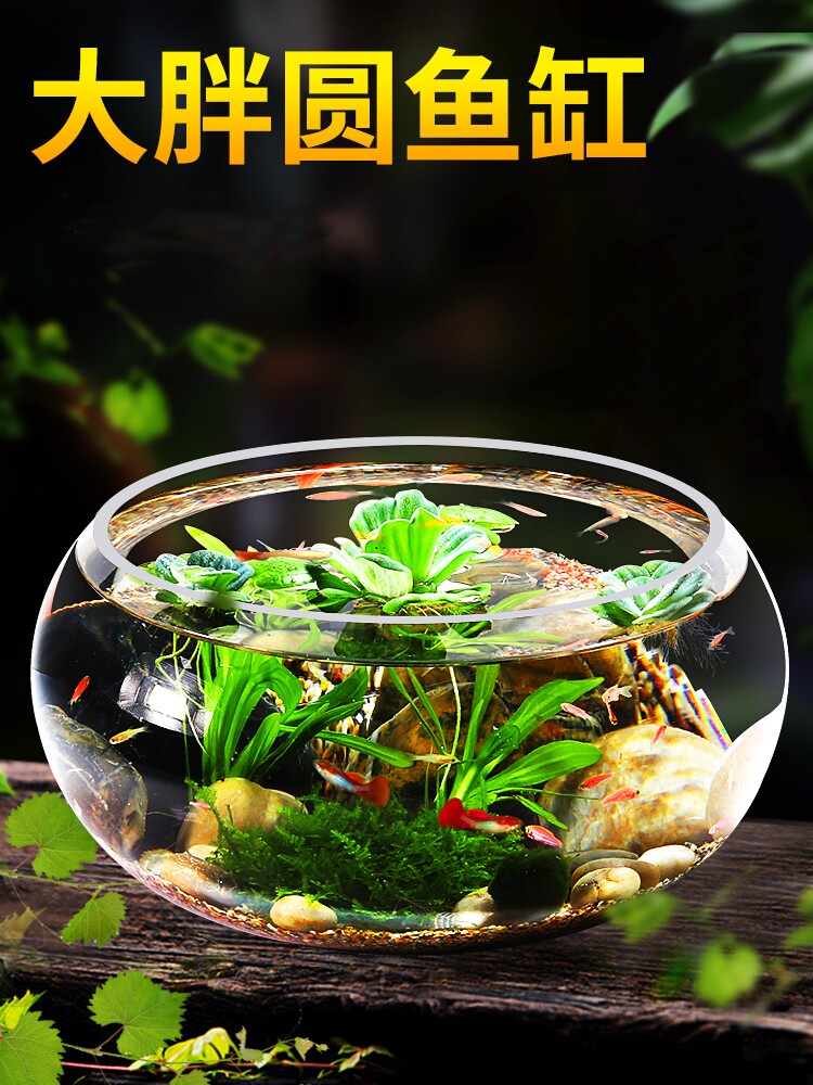 办公室小鱼缸透明加厚高清玻璃龟缸客厅家庭桌面迷你微场景水族馆