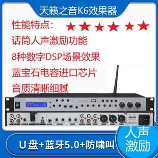 K6专业人声器带激励器防啸叫8种数字DSP舞台演出KTV