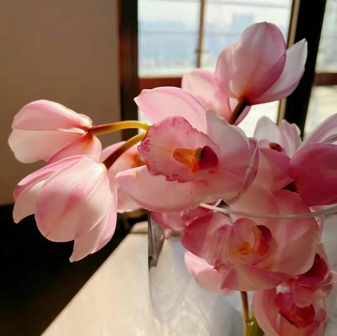 大花蕙兰切花年宵花鲜花花期长