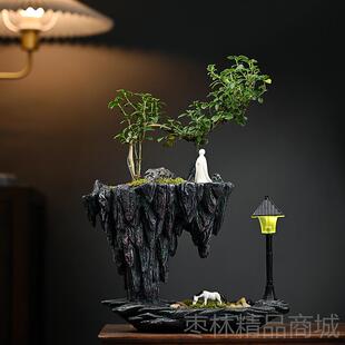 正品天空关之城六月雪文竹悬浮栽绿植内盆景办公室玄书桌面净化空