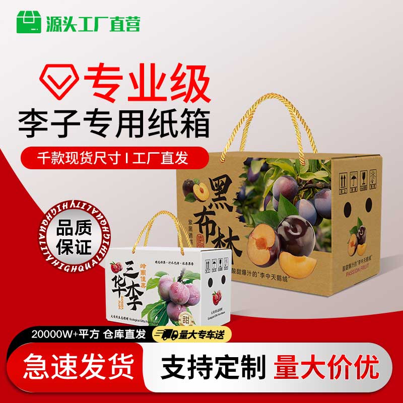 装李子打包纸箱礼盒青红脆李蜂糖李奈包装黑布林李三华李打包纸箱