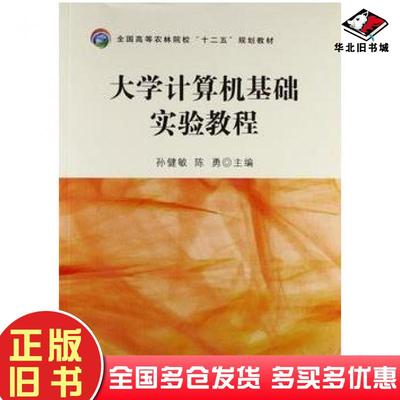 正版旧书大学计算机基础实验教程孙健敏陈勇编中国农业出版社9787109191860