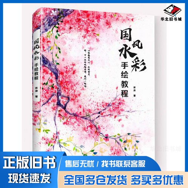 正版旧书国风水彩手绘教程苏岸电子工业出版社9787121393129