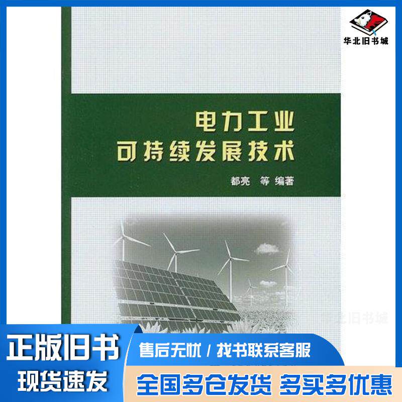 正版旧书电力工业可持续发展技术都亮著中国水利水电出版社9787517005650