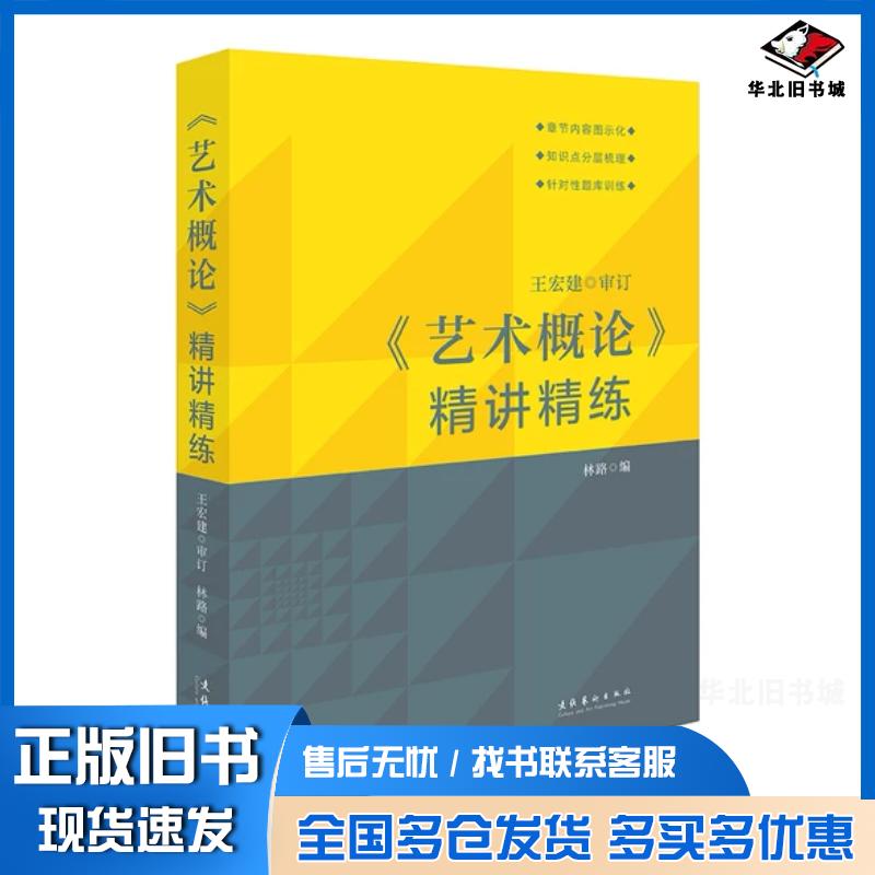 正版旧书艺术概论精讲精练美术理论王宏建审订林路主编文化艺术出版社9787503971730