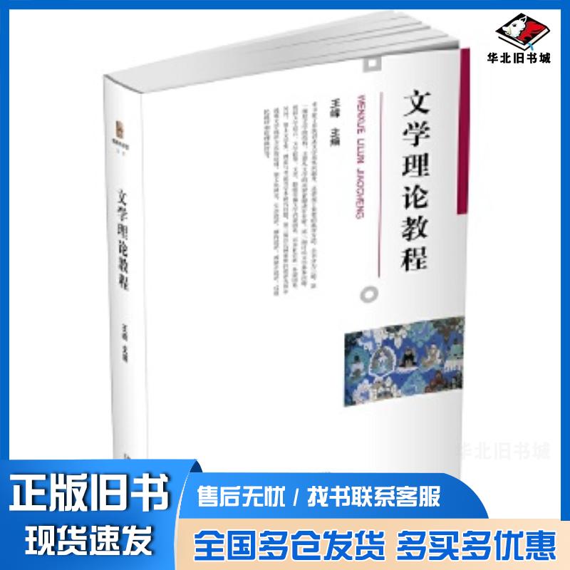 正版旧书文学理论教程王峰北京大学出版社9787301317006