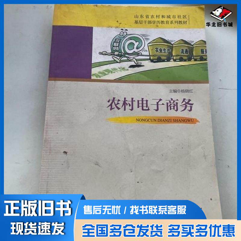 正版旧书农村电子商务杨晓红主编山东人民出版社9787209101059