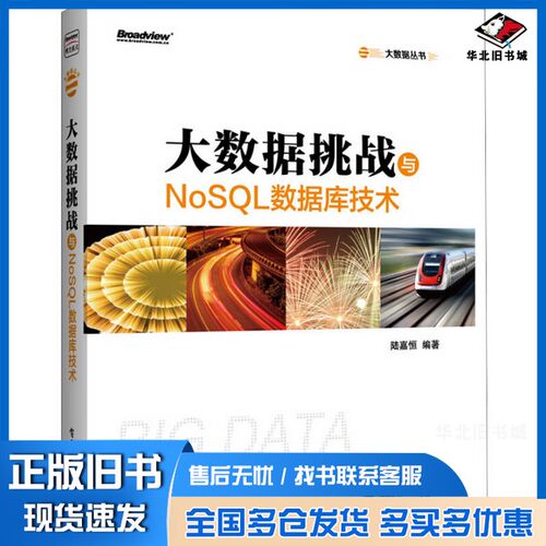 正版旧书大数据挑战与NoSQL数据库技术陆嘉恒编著电子工业出版社9787121196607