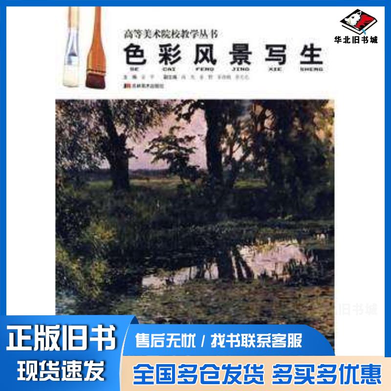 正版旧书色彩风景写生——高等美术院校教学丛书金平编著吉林美术出版社9787538632842