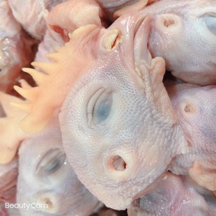 新鲜生鸡头冷冻鸡头生鲜鸡头架子壳人吃肉鸡头喂狗鸡米头大盘5斤