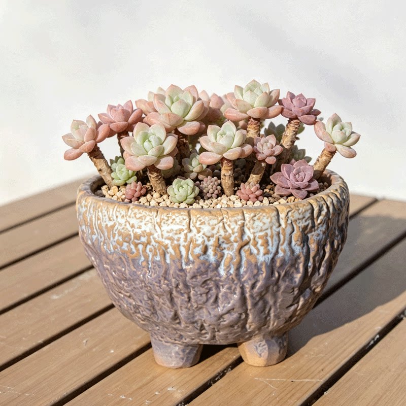 粗陶花盆复古新品促销
