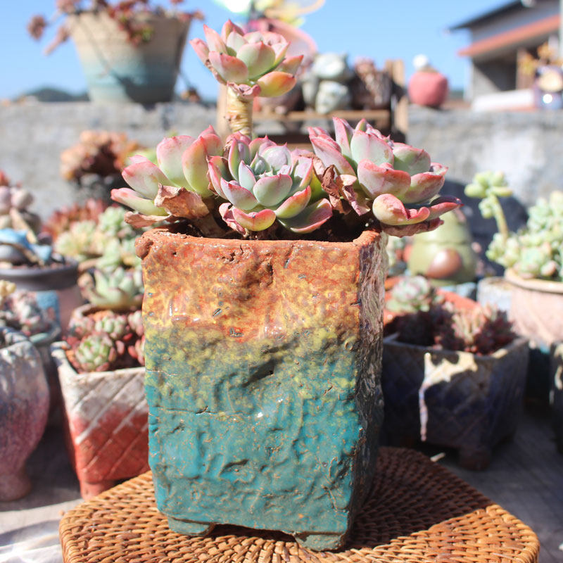 包邮麦饭石多肉花盆老桩盆复古做旧粗陶盆方形透气陶盆大号法师盆