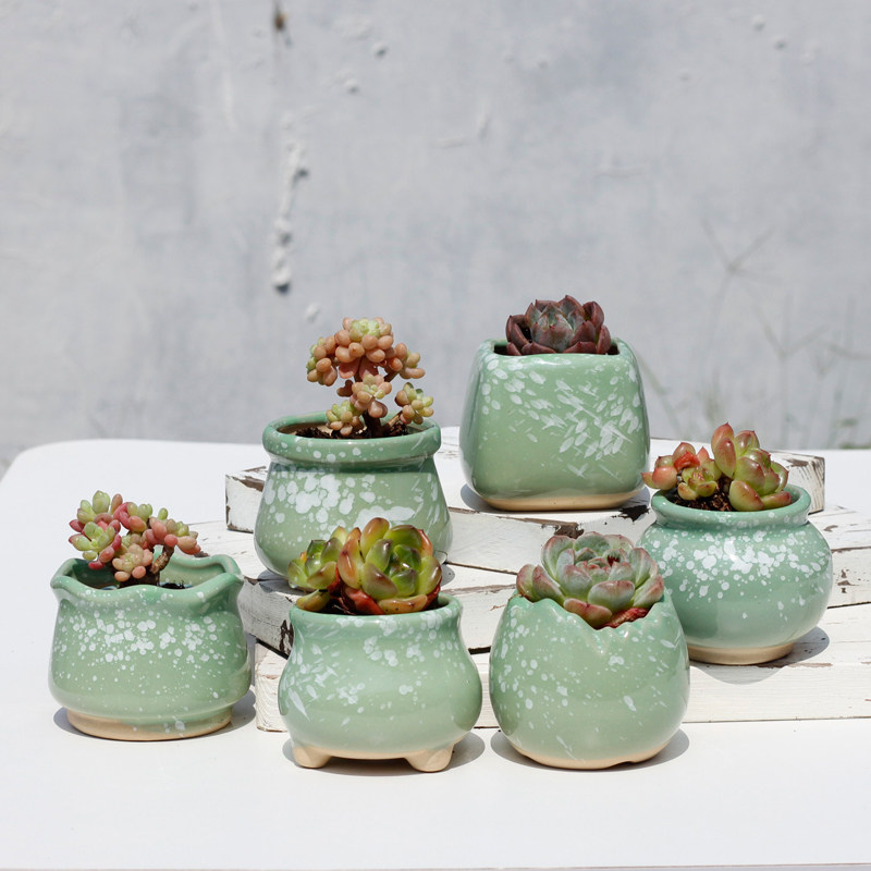 包邮陶瓷花盆老桩盆粗陶透气盆大口径拼盘多肉植物盆创意大号花盆,鲜花速递/花卉仿真/绿植园艺,花盆,淘宝优惠券,粉丝福利购,淘宝优惠卷