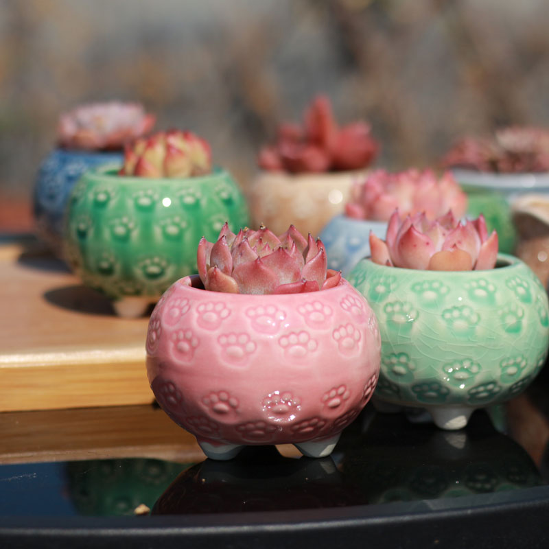 粗陶透气手工印章盆新品促销