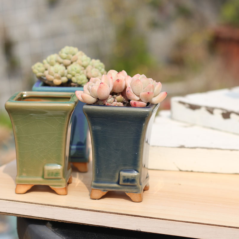 新款玉露花盆方形小老桩粗陶透气陶瓷盆冰裂喜光盆控养小多肉花盆