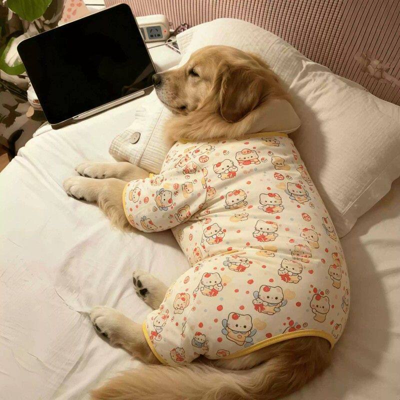 狗狗衣服金毛大狗睡衣家居服卡通连体四脚衣中大型犬防掉毛秋冬服