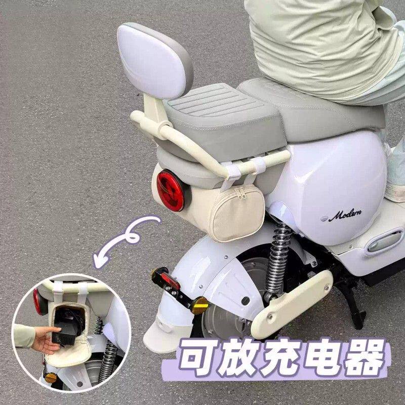 电动车挂包适用于雅迪木兰毛豆Q17M20后置储物袋充电器雨衣后尾包
