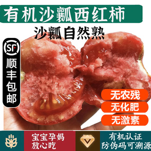 有机沙瓤西红柿【顺丰到家】普罗旺斯番茄健康无农残孕妇宝宝蔬菜