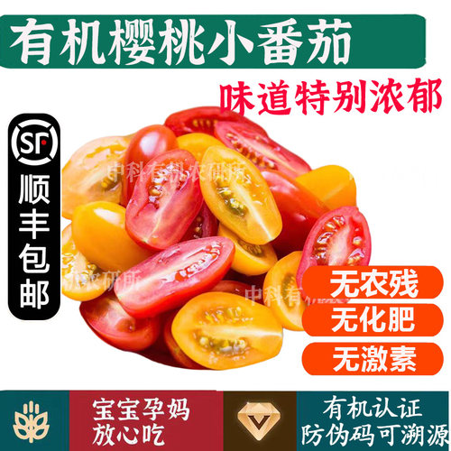 有机樱桃小番茄圣女果【顺丰到家】云南高原健康无农残孕妇宝宝