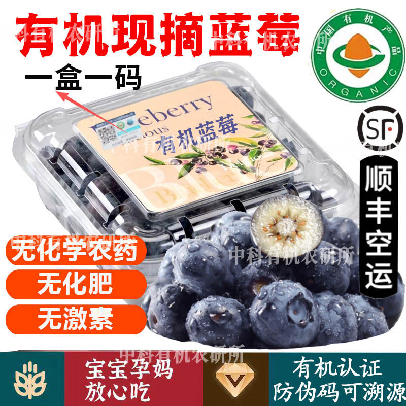 有机花香蓝莓【顺丰空运】香甜多汁孕妇宝宝健康无农残有机水果