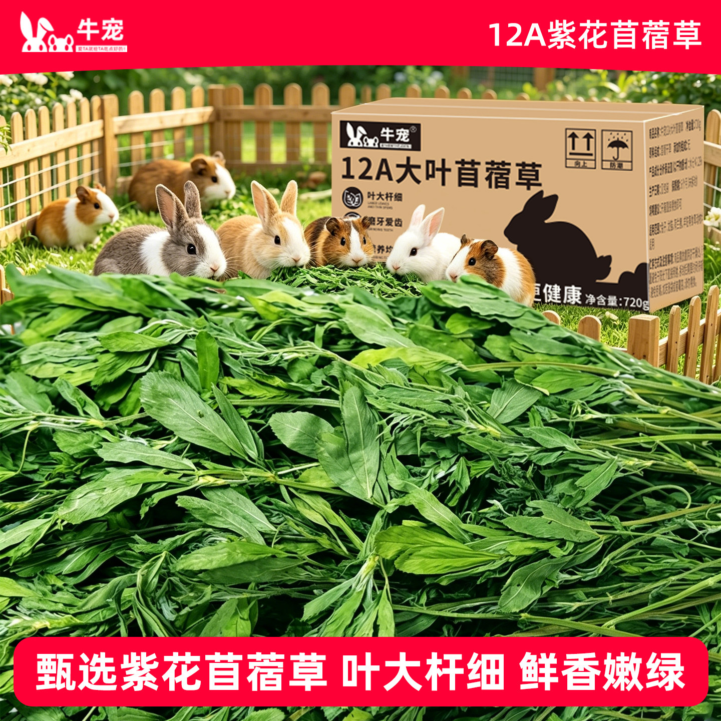 牛宠大叶苜蓿高复购兔粮兔兔干草