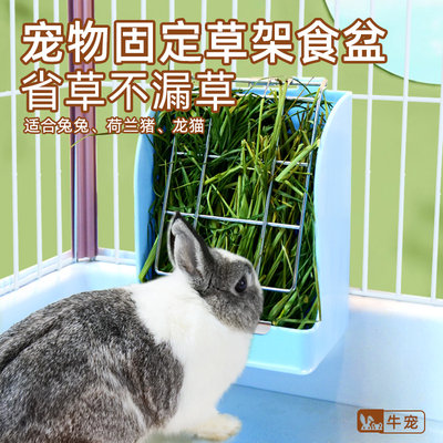 兔子龙猫荷兰猪牛宠草架食盆草球