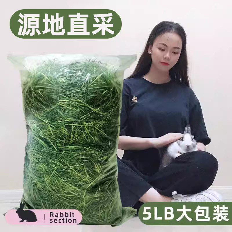 牛宠提摩西草北提高纤维兔子草粮图片