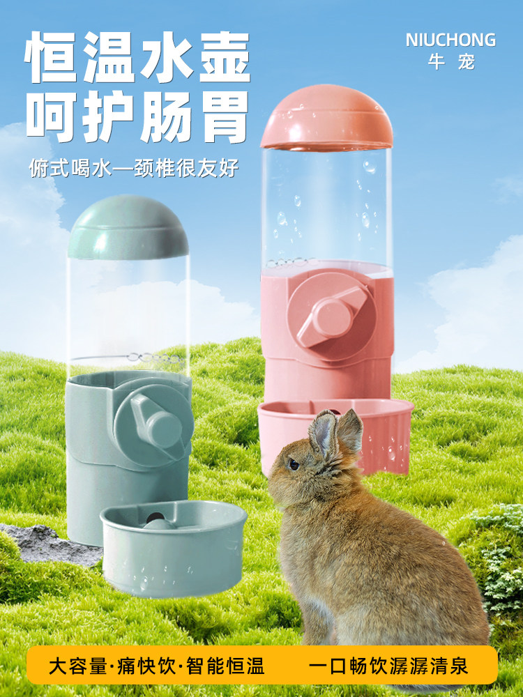 兔子饮水器自动恒温加热荷兰猪龙猫专用水壶喝水器挂式过冬用品