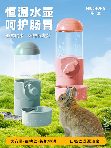 兔子饮水器自动恒温加热荷兰猪龙猫专用水壶喝水器挂式过冬用品