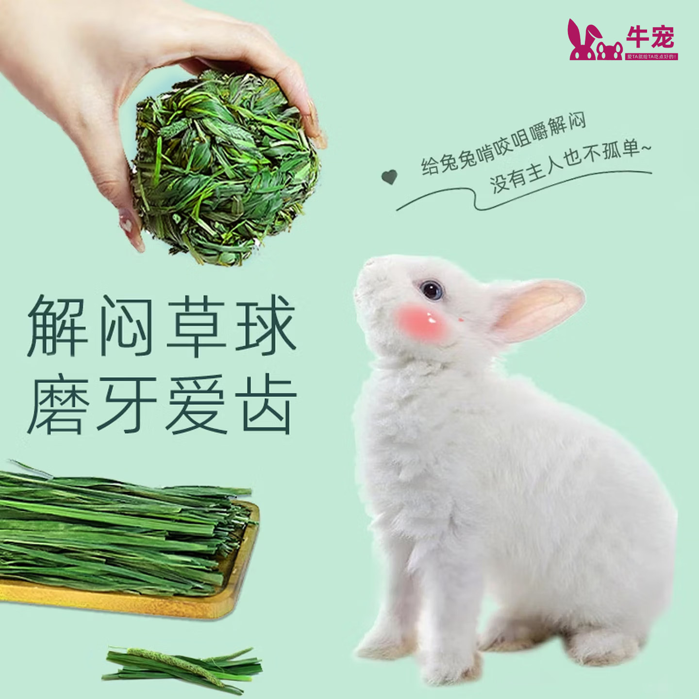 兔子玩具解闷龙猫荷兰猪豚鼠耐咬啃草球提摩西草磨牙零食宠物用品,宠物/宠物食品及用品,兔兔玩具,淘宝优惠券,粉丝福利购,淘宝优惠卷