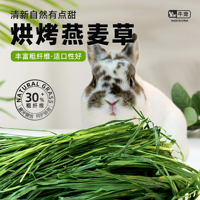 23年牛宠新烘干燕麦草青澳麦兔兔干草龙猫豚鼠粮食饲料牧草兔子草 宠物/宠物食品及用品 兔兔干草 原图主图