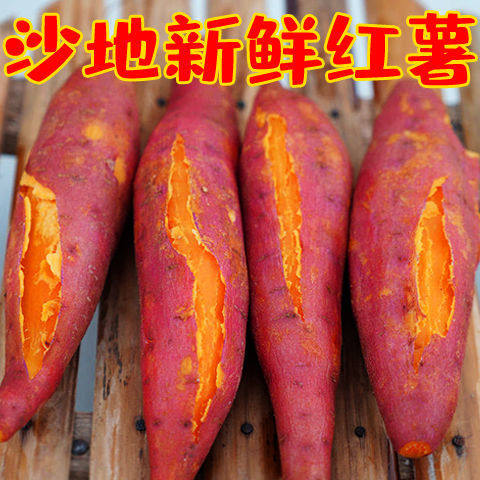 新鲜黄心蜜薯10斤农家甜薯板栗红黄心地瓜5糖心番薯山芋沙地红薯