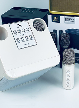 YS-203家庭电视手机KTV套装K歌音响无线蓝牙双麦克风音箱话筒一体