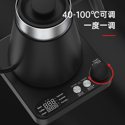110v220v跨境控温手冲壶110V鹅颈壶不锈钢细口gooseneck kettle温