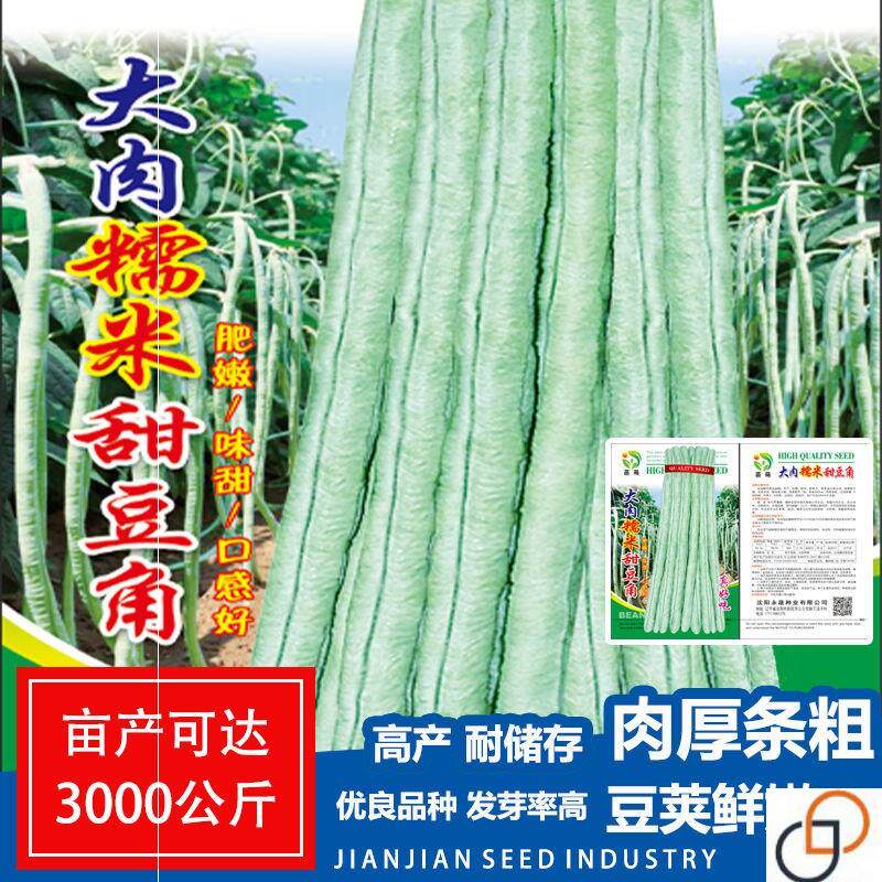 大肉糯米甜豆角种子豆角种子高产抗热品种易种春夏秋种蔬菜种子