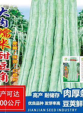 大肉糯米甜豆角种子豆角种子高产抗热品种易种春夏秋种蔬菜种子