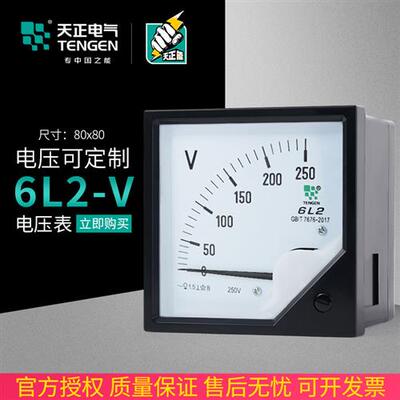 天正 6L2-V电压表450V250V500V1000V交流指针表10KV12KV20KV/100V