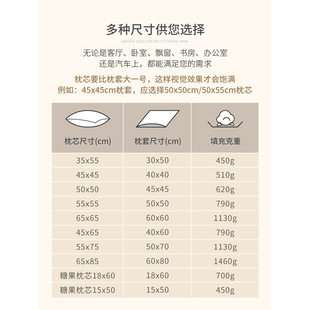 5DBJ抱枕芯内胆羽丝绒沙发靠芯45 60正方形大靠背床头48