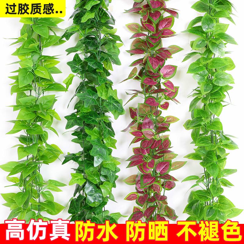 仿真绿萝装饰藤条藤蔓仿真绿植