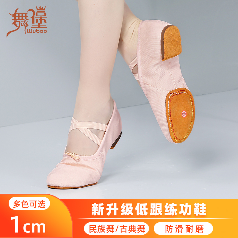 舞蹈鞋女成人软底教师鞋室内外