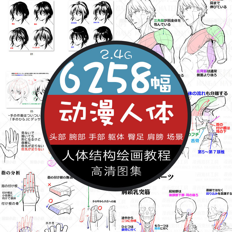 漫画素材工坊图解动漫人体结构姿态线稿基础绘画教程练习参考