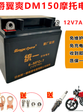 适用豪爵DM翼爽HJ125/150男士摩托车统一免维护蓄电池12V7A干电瓶