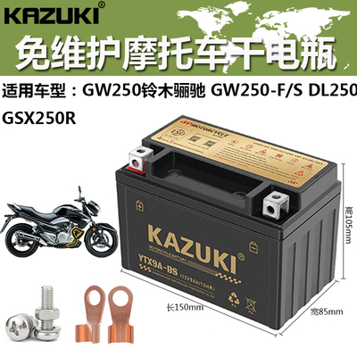 骊驰12V9A摩托车电瓶DL250豪爵
