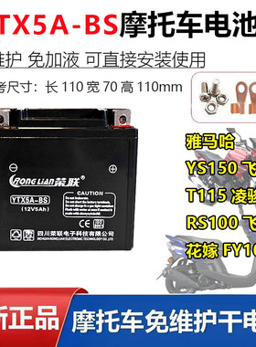 摩托车干电瓶雅马哈YS150飞致 T115凌骏RS100飞鹰花嫁FY100蓄电池