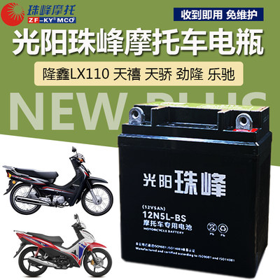 隆鑫弯梁LX110摩托车电池