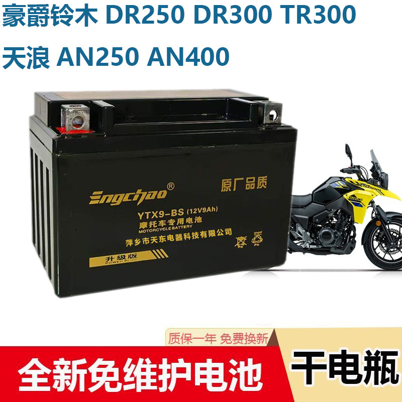 摩托车干电瓶适用豪爵铃木DR250 DR300 TR300天浪AN250 AN400