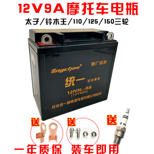 大地鹰王摩托车电池12V9A
