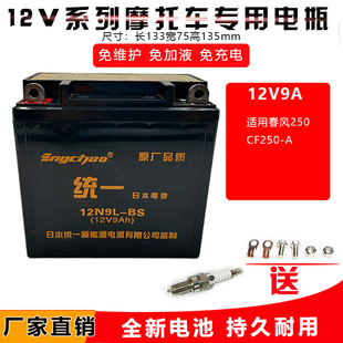 适用春风250NK SR 250CLX CF250-A摩托车电瓶12V9A蓄电池DB9-BS