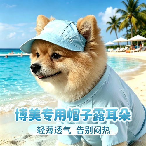 博美犬专用狗狗帽子小狗宠物狗露耳朵遮阳帽小型犬帽夏天装扮防晒