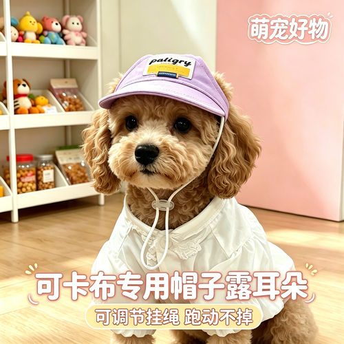 可卡布专用幼犬狗狗帽子小狗宠物狗露耳朵遮阳帽大型犬美卡犬大狗